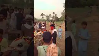 #besakhi #vlog 2025