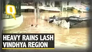 The Quint: Heavy Rains Lash The Vindhya Region, 80 Villages Submerged