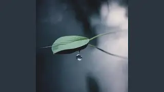 Crying on a sad day