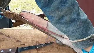 Skinning beaver tails