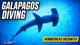 Perth Scuba visit The Galapagos Islands in Ecuador