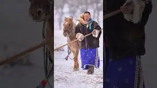 Mongolian Culture Horse