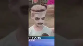 I like turtles meme