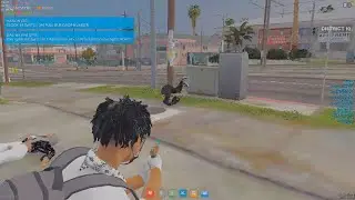 District 10 V5 RP Shooting Higlights 😂 GTA-RP