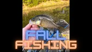 Fall Kayak Fishing - Quick trip on Lake Holcomb (AND something NEW!)