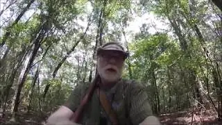 Foraging Mushrooms And A Wild Stuff Challenge