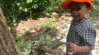 Parque de dinosaurios | Jurassic World parte 2