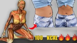 ABS WORKOUT | 3 Minute Abs  Exercise (No Jumping) To Lose Weight  | 7 Day LOSE BELLY FAT