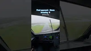 Final approach - Storm incoming #aviation #pilot #landing #airbus