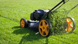 Top 10 Best Lawn Mower 2020