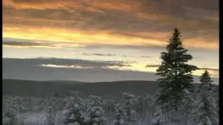 Forestry in Canada  Discover Sustainable Forest Management with Jim Farrell