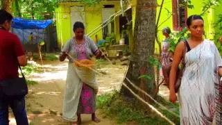 Cochin Day Tours - Backwater Tour and Village Life Experience in Kochi