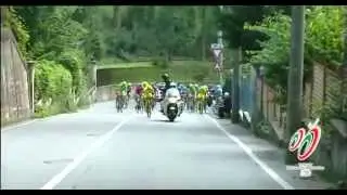 Sintesi Coppa Bernocchi 2014