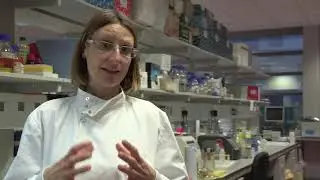 Dr Violaine See - Cancer cells and oxygen