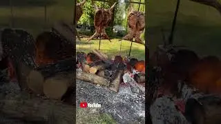 Жарю целые бараньи тушки
