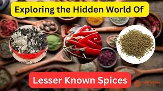 Discover the Untold Stories of Exotic Spices | History4U