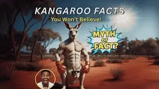 KANGAROO Facts You Won&rsquo;t Believe! 🦘 Funny, Wild & Totally True Myths Busted!