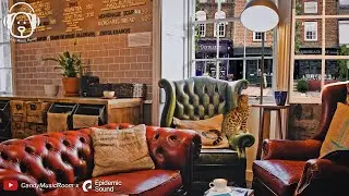Late Afternoon Coffee Shop Ambience & Relaxing Cafe Jazz Playlist - Cafe ASMR, BGM Study Music