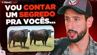 NETÃO EXPLICA COMO ESCOLHE SEUS GADOS WAGYU | PrimoCast 373