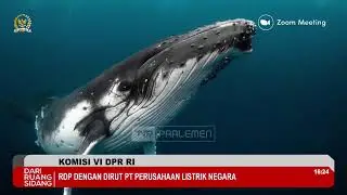 BREAKING NEWS - KOMISI VI DPR RI RDP DENGAN DIRUT PLN