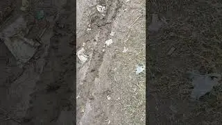 #automobile #stunt #rider #ct100 #viralvideo #ct100modified #trending #modified #viralvideo