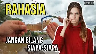 TIPS MANCING UDANG GALAH SAAT AIR TENANG
