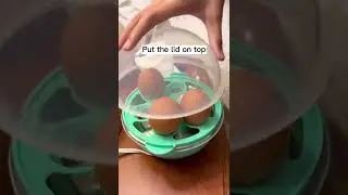 Unboxing & Testing of Nostalgia MyMini 7-Egg Cooker || Anywhere or Dorm use|| Very Portable! #shorts