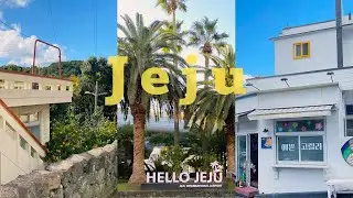 Jeju in late autumn | the most my favorite place in South Korea 🇰🇷 🍊🐟🌴🌊