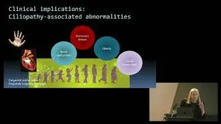 Genetics, Cilia, and the Link to Congenital Heart Disease