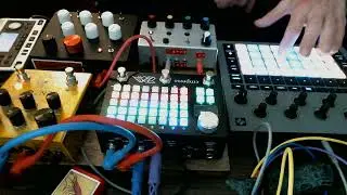 Live Session Ft. Circuit Rhythm / ZOIA / Rucci Drone & 4 step sequencer / Meris Enzo