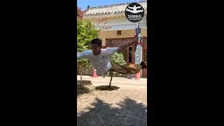 🏮Learning TAI CHI  in #China🏮#yukungfu  #kungfu #digitalnomad #oldtown #travel #chill