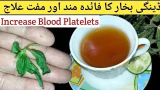 Dengue Fever Treatment At Home||Neem leaves Tea | Increase Blood Platelets With Home Remedies