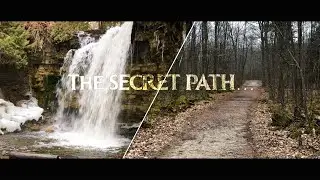 Exploring the Hidden Gems of Hilton Falls 🌲- A Natural Paradise!