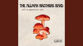 The Allman Brothers Band - Blue Sky (Live)