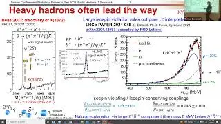 Tomasz Skwarnicki - &ldquo;Discoveries of Exotic Hadrons&rdquo;