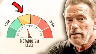 ARNOLD SCHWARZENEGGER ON METABOLISM - FASTING AND EATING HABITS: EMBRACE A BALANCED APPROACH