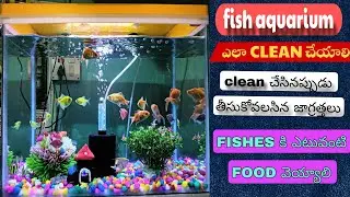 how to clean fish aquarium at home in telugu | ఇంట్లో aquarium ఎలా clean చేయాలి 
