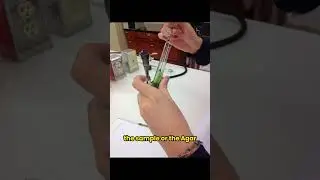 Citrate Utilisation Test | Microbiology lab