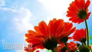 Una parola per te ( Giovanni 8:12)