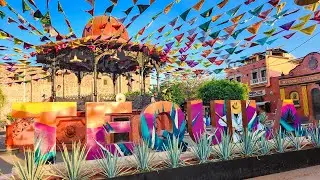 First Impressions of TEQUILA | Jalisco, Mexico