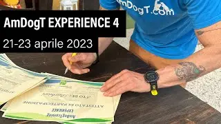AmDogT EXPERIENCE 4