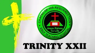 Trinity XXII (Like Your Father, be Merciful)