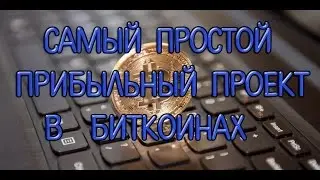 млм компания / storytsa com