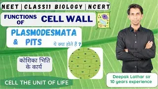 PLASMODESMATA | PITS | FUNCTIONS of Cell Wall | Types of Pits | Plant 🌱 Cell Wall | Cell Wall part-3
