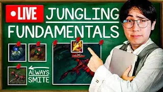 Jungle Educational + TIPS