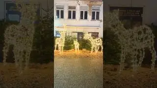 Jul i Haderslev #christmas