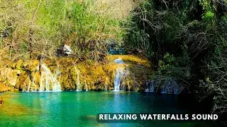 Hidden Jungle Waterfall: Relaxing Water Sounds & Morning Birdsong