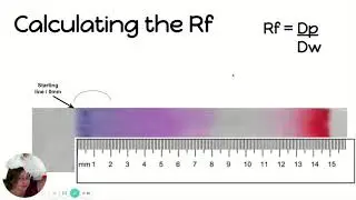 Paper Chromatography - Calculating Rf Value