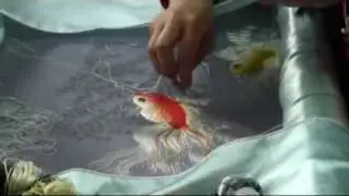 VIETNAM DALAT BRODERIES EMBROIDERY