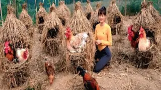 Build Nest System For Chicken To Lay Eggs - Use Bamboo Tree and Rice Straw Build Chicken Coop